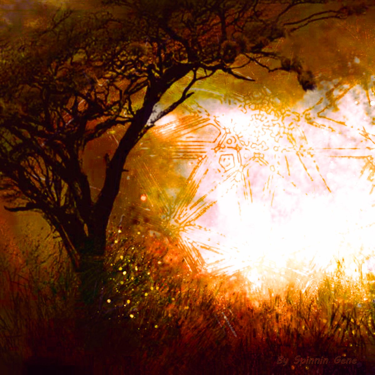 FierceRobots's tweet image. &quot;Radiant&quot;