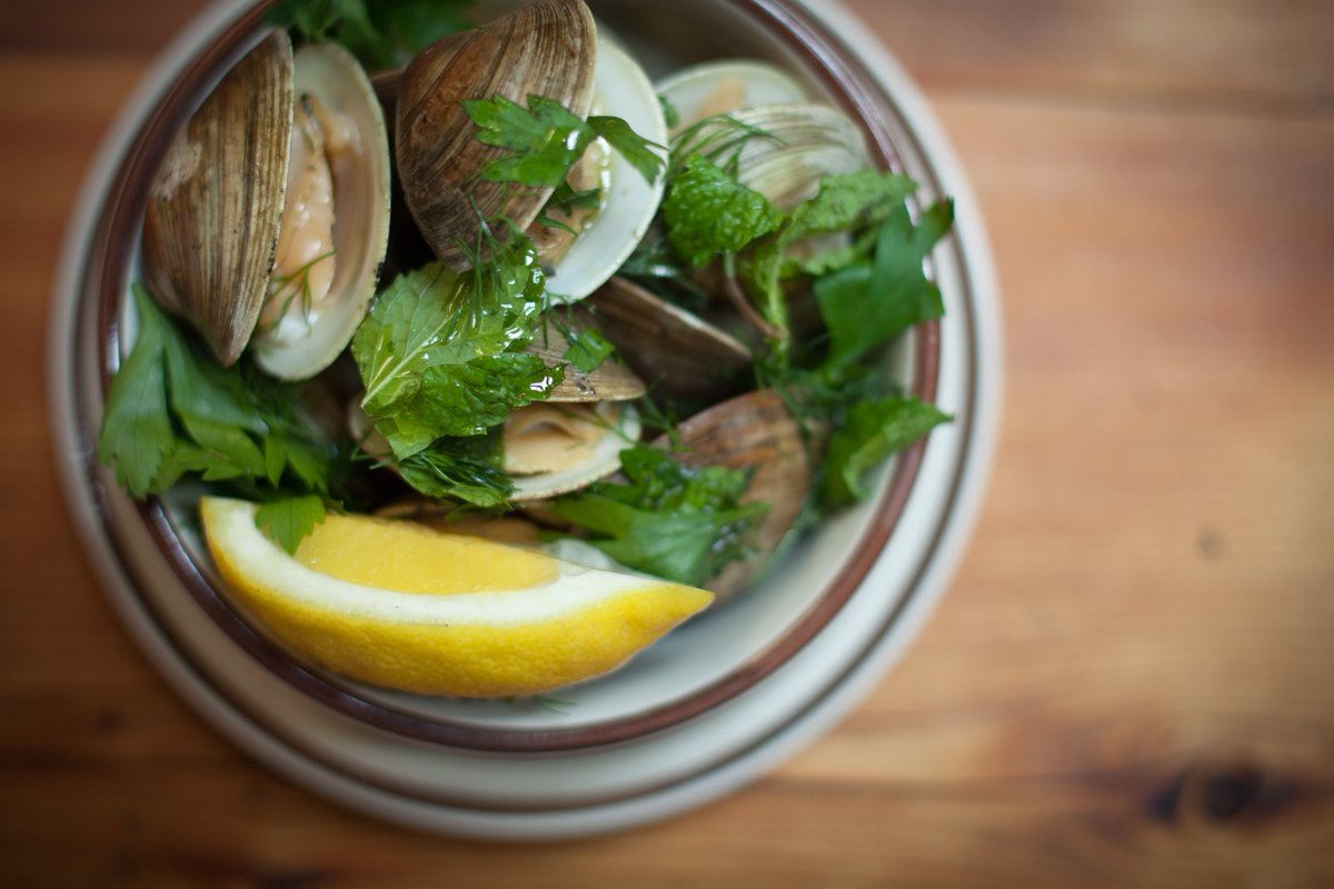 Sea Wolf Brooklyn tweet media