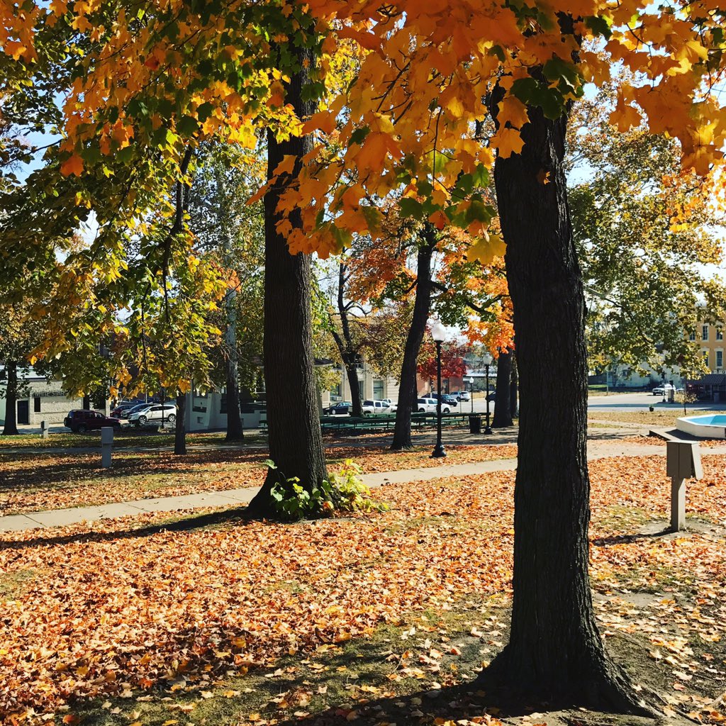 HannibalParks's tweet image. #FridayFoliage. All the parks look especially colorful these days, this is in Central Park. #getupgetactive #goforawalk