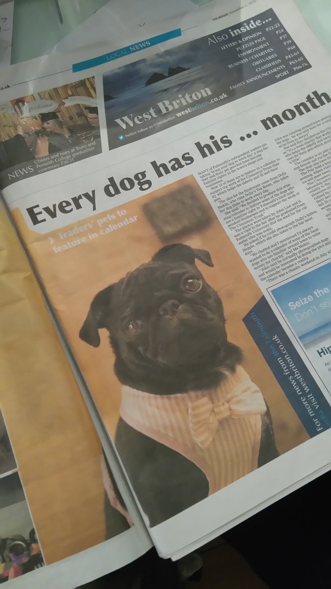 thepolyguild's tweet image. 'It's a Dogs Life' featured in this week's West Briton on p3! Come down to The Poly and see what all the fuss is about!