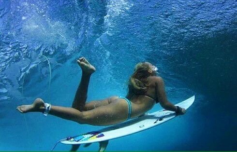 surf_and_sun's tweet photo. Move freely off the grid. #LovingLost #surfing 💙🐚🐬 https://t.co/qW3qzIYcJ7