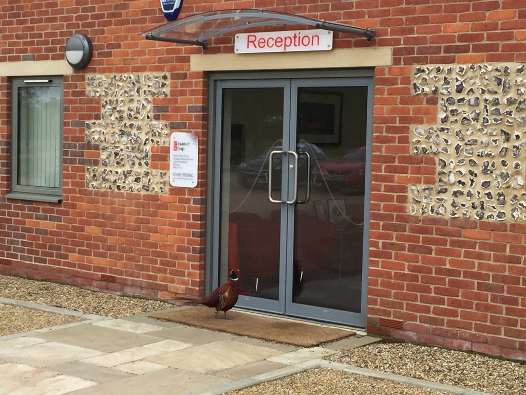 Finance Shop tweet media