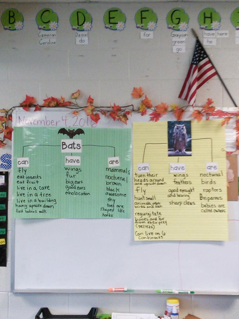 AllisonToler's tweet photo. #livefromfcs Getting ready to compare and contrast bats and Owls on a Venn diagram! https://t.co/JBFVlY49HB