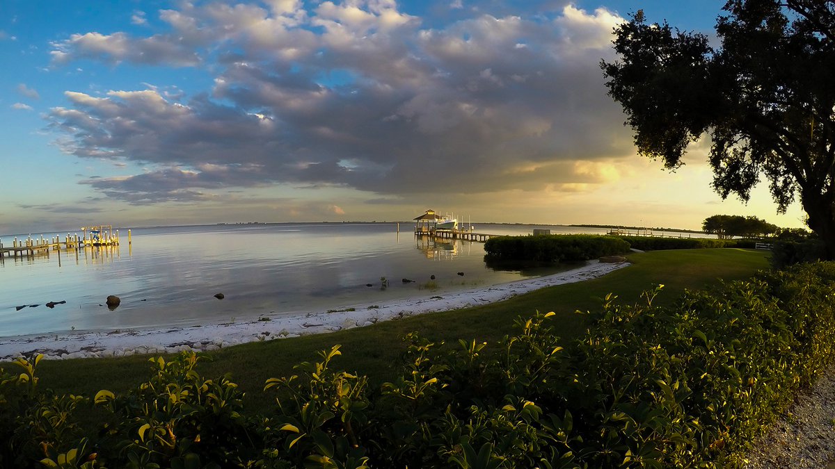 Mia Mccormick On Twitter Checking Out The Wdr Raw Photo Mode