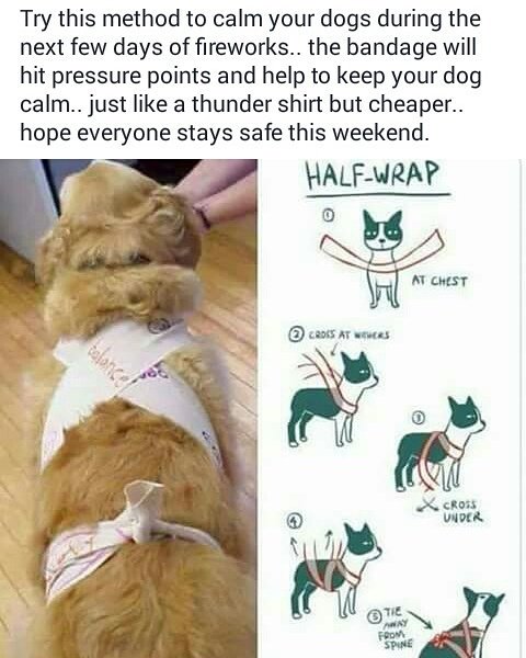 lostfoundkent's tweet image. #calmdogs #pleaseshare m.facebook.com/groups/1575325…