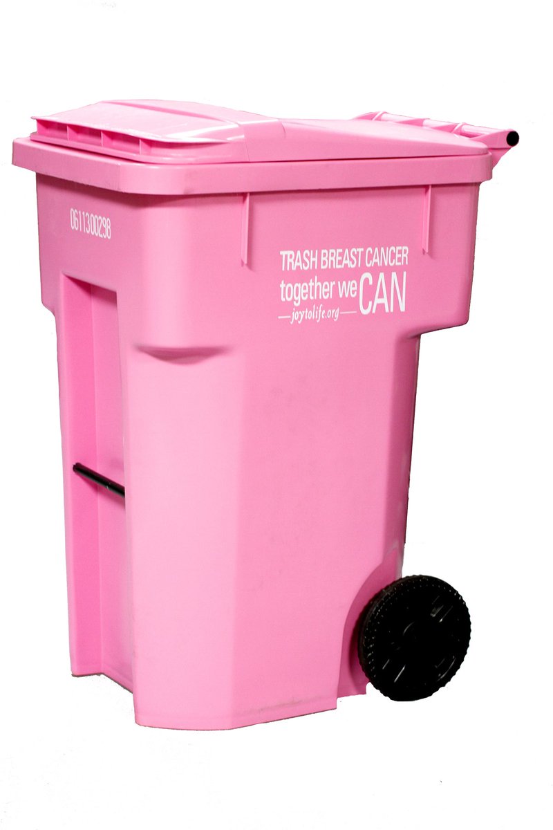 jessiepaege's tweet photo. it's time I introduce you to my long lost twin sister. We have the same "trashy" personality and are identical. https://t.co/i01qB4rBe4