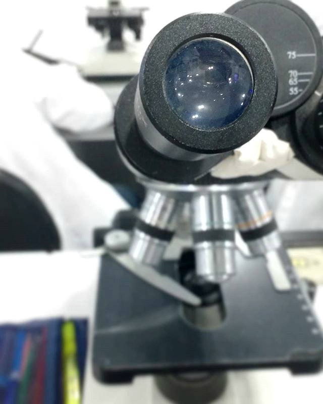 ChicoNutCompany's tweet photo. Because quality assurance is our utmost priority, every shipment is tested for Aflatoxin &amp; Salmonella. #ChicoNut https://t.co/OzZgfYlNrU