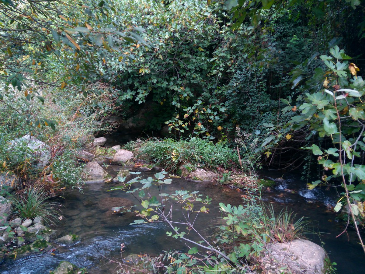 alfzh88's tweet photo. El espíritu montañero y aventurero sigue aunque sea de ruta turística. https://t.co/XIie8XOV7F