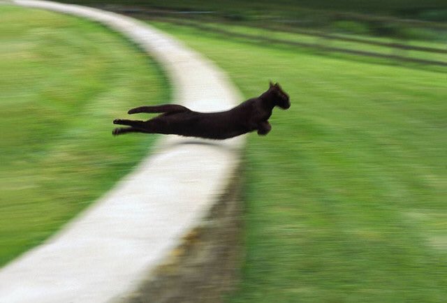 Urban Tweets UK tweet media