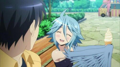 Papi The harpy (@cuteharpypapi) on Twitter photo 