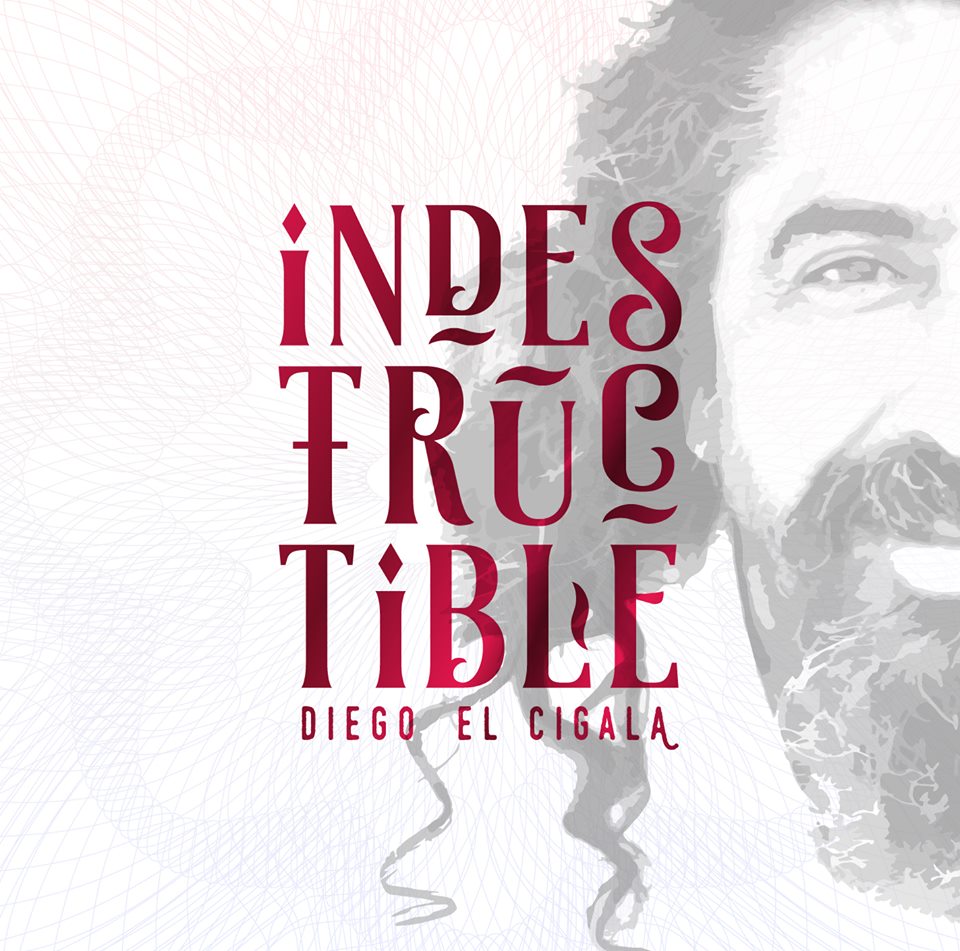 ¿Ya viste 👀 el gran video que nos preparó <a href="/ElCigalaOficial/">Diego El Cigala</a> #ElRatón ?