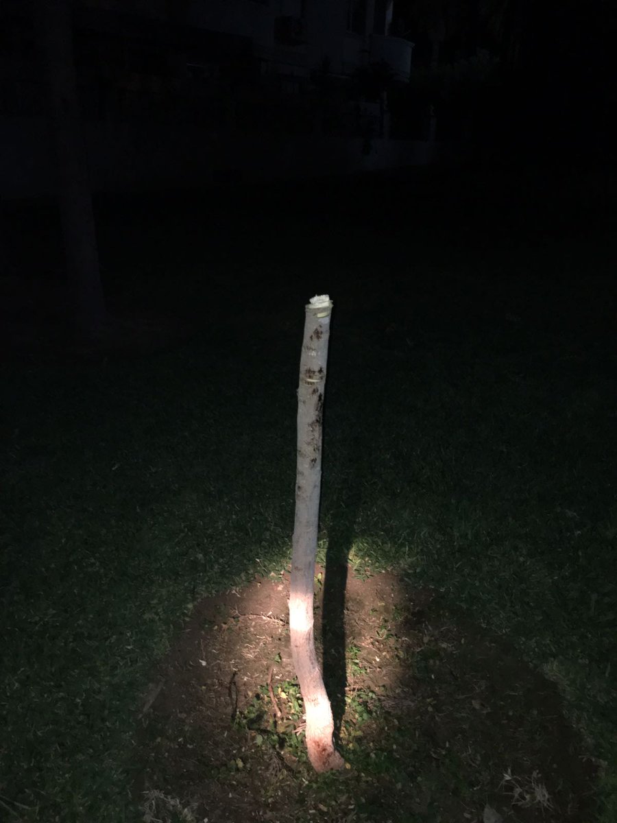 policiacoin's tweet photo. @policiacoin interceptan a menores destrozando arboleda en #parquespúblicos, gracias a #colaboraciónciudadana, multa+reposición @AytoCoin https://t.co/6kaIoawsWv