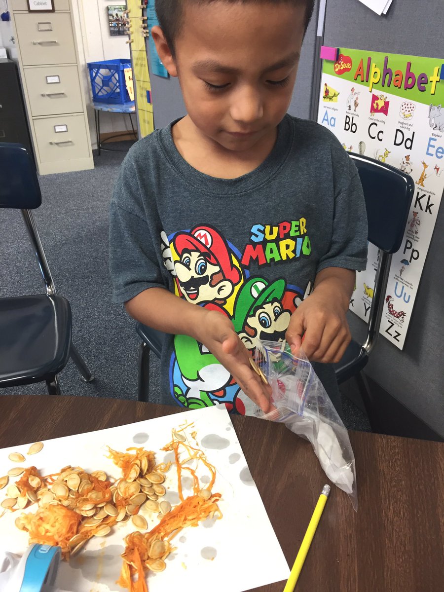 AmyMcHolmes_'s tweet photo. Pumpkin exploration with my Kindergarteners. #learninglanguageisfun @ABPcubs https://t.co/bgSyEsZMNa