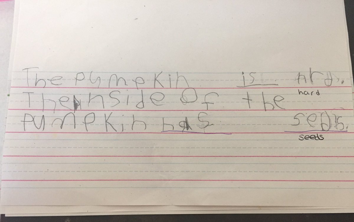 AmyMcHolmes_'s tweet photo. Pumpkin exploration with my Kindergarteners. #learninglanguageisfun @ABPcubs https://t.co/bgSyEsZMNa