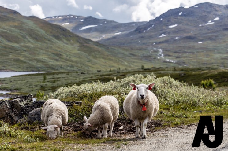 AshleyJamesR2R's tweet image. Trying to stand out from the crowd? #interviewprobs #wecanhelp #rec2rec #dreamjobs #career #lovewhatyoudo #ashleyjamesconsulting