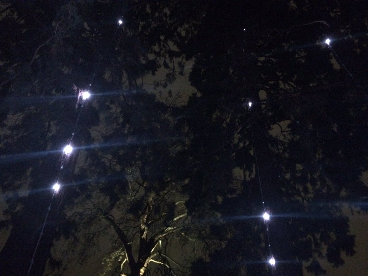 chloe_v_elder's tweet image. Loved exploring the world from Edinburgh's back garden at #BotanicLights @TheBotanics