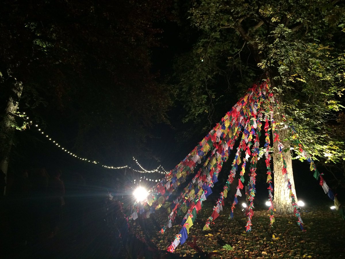 chloe_v_elder's tweet image. Loved exploring the world from Edinburgh's back garden at #BotanicLights @TheBotanics