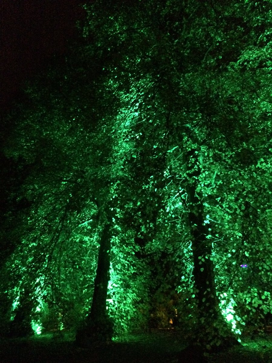 chloe_v_elder's tweet image. Loved exploring the world from Edinburgh's back garden at #BotanicLights @TheBotanics