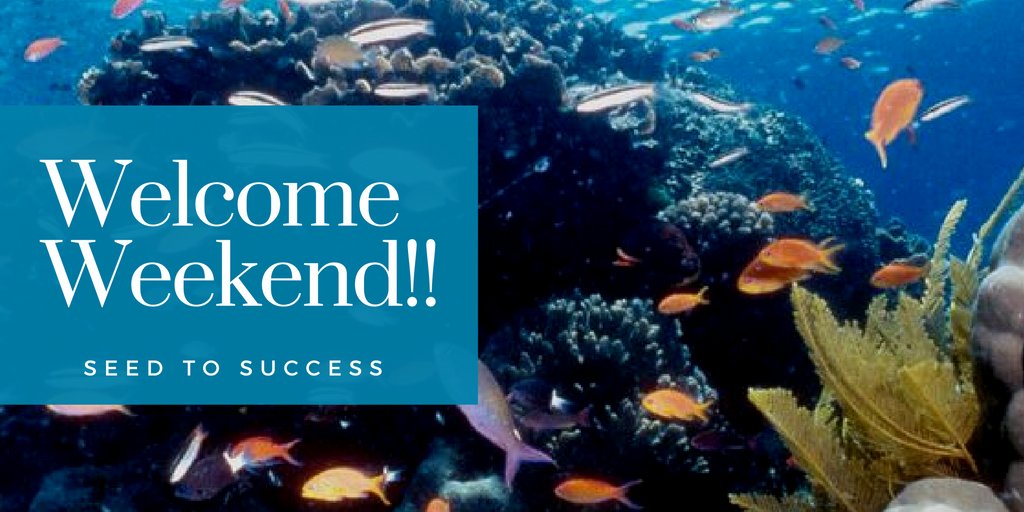 S2_Seed2Success's tweet photo. #S2SCommunity #LongLifeLearning #LearningByDoing #KeySkills #GlobalDoers #WelcomeWeekend https://t.co/ZigpUBudY3