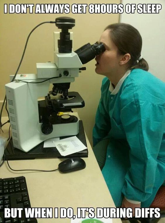 Happy Friday!  And get some rest.  

Did you know that MIDSCI sell microscopes?  Let us customize one just for you:  ow.ly/MuyQ305RI4I