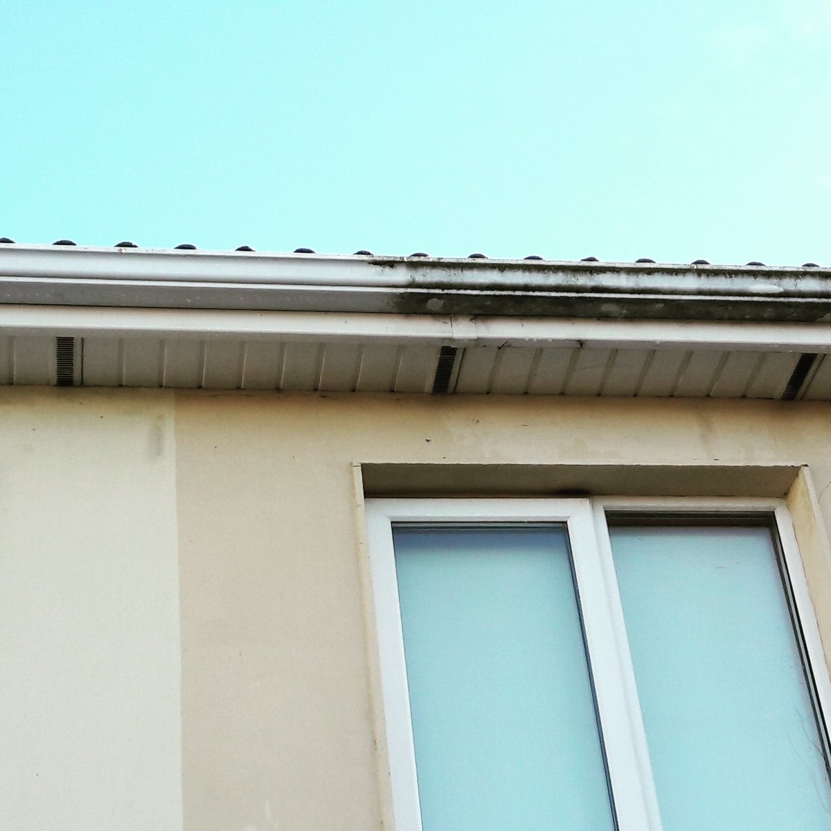 RepofWindows's tweet image. Halfway to Clean ☺