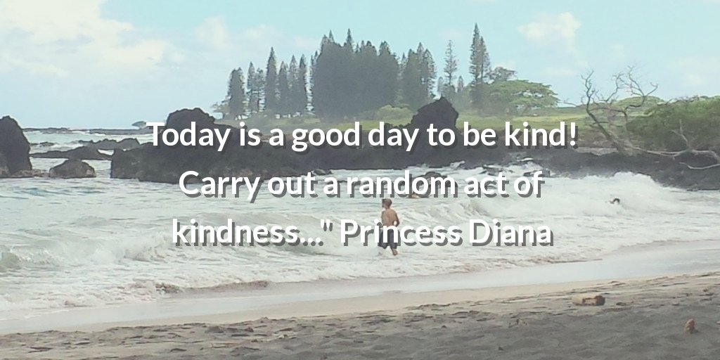 ZingerWebDesign's tweet image. Today is a good day to be kind! Carry out a random act of kindness...&quot; Princess Diana #webdesignhamilton