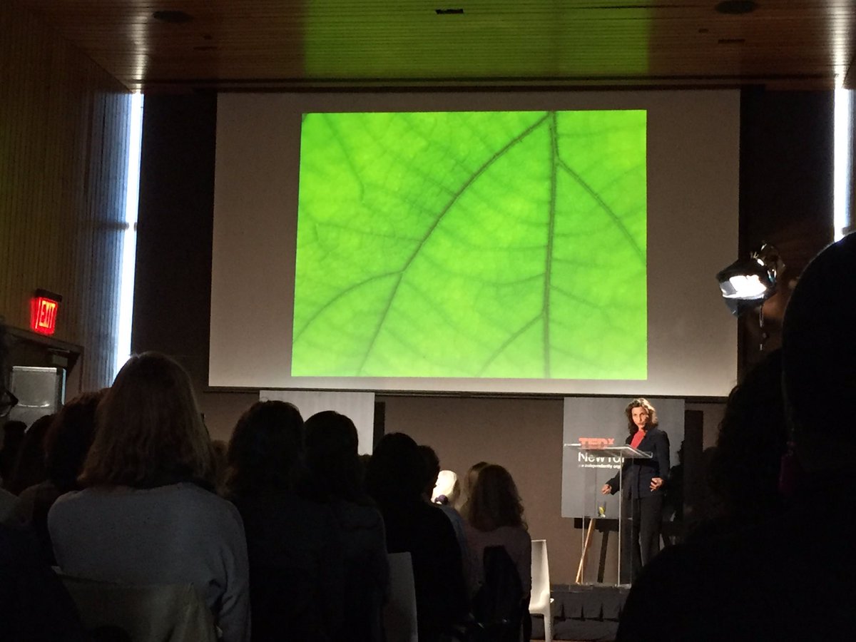 Anthropologist Gina Bria presenting a big idea at <a href="/TEDx/">TEDx</a> : Plants = Water