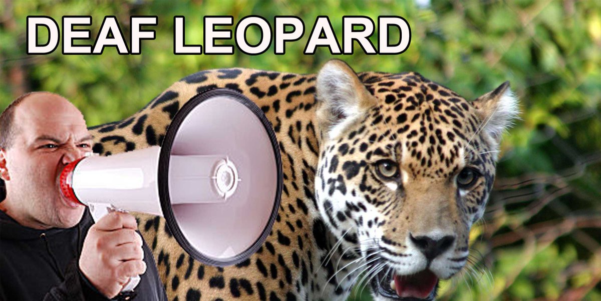 OR8 Music (@or8music) on Twitter photo #metal #metalfan #metallife #musician #music #metal #metalfan #metallife #musician #music