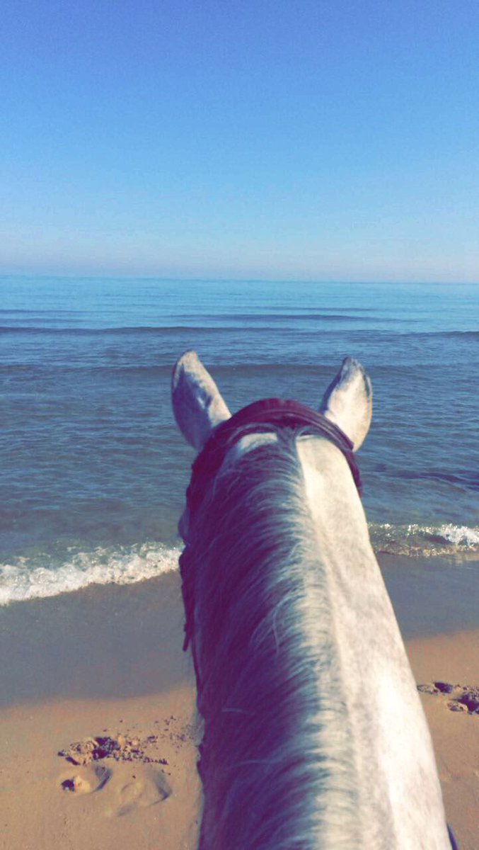 HW_Eventing's tweet photo. So lucky to be out here thanks to RL. Living it up 😎👌🏼 #MediterraneanSunShineTour https://t.co/zfWeWlyWAI