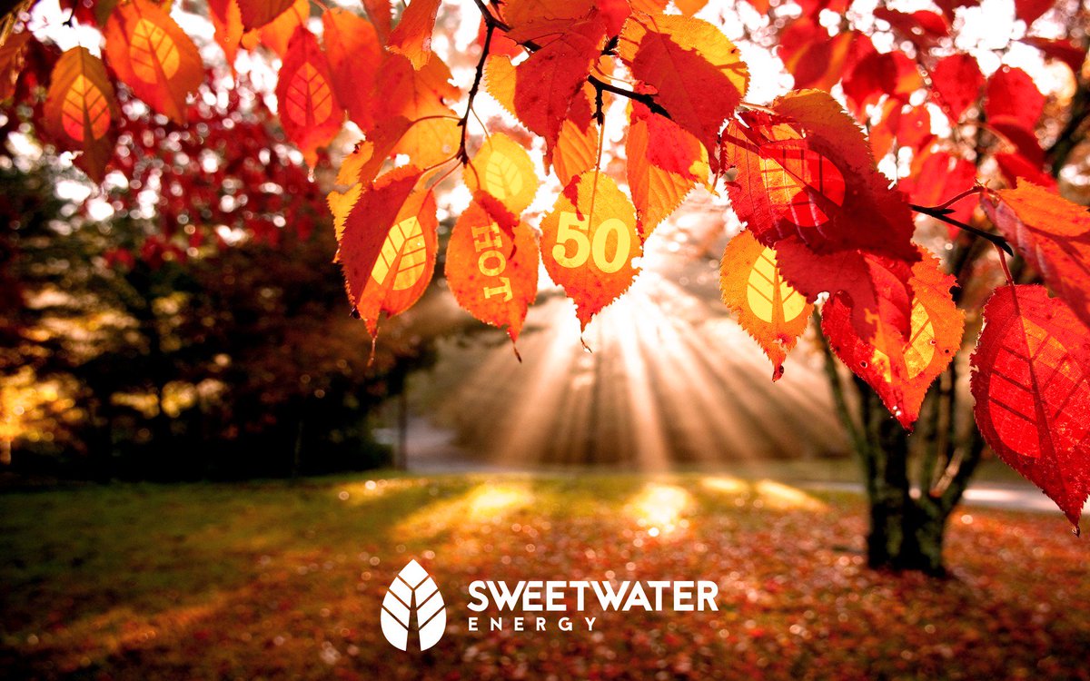 SweetH2OEnergy's tweet image. We don&apos;t want SWE to FALL too far behind in this year&apos;s #Hot50 standings! So here&apos;s a shout out to #biofuelsdigest! #bdigest #digesthot50