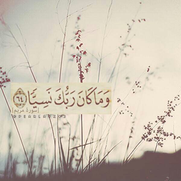 6Slll_'s tweet photo. قال الشافعي: آية من القرآن هي سهم في قلب الظالم وبلسم على قلب المظلوم 
قيل وما هي؟ فقال قوله تعالى: " وما كان ربك نسيا " https://t.co/b31KSpqnik