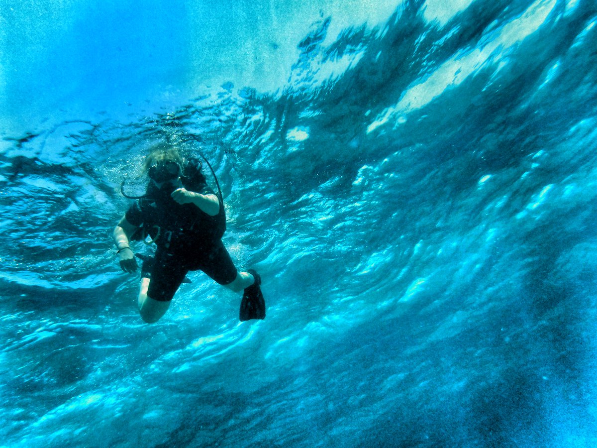 Divewithruben's tweet image. Come and dive with us.
#DivewithRuben
#Howdeepcanyougo
