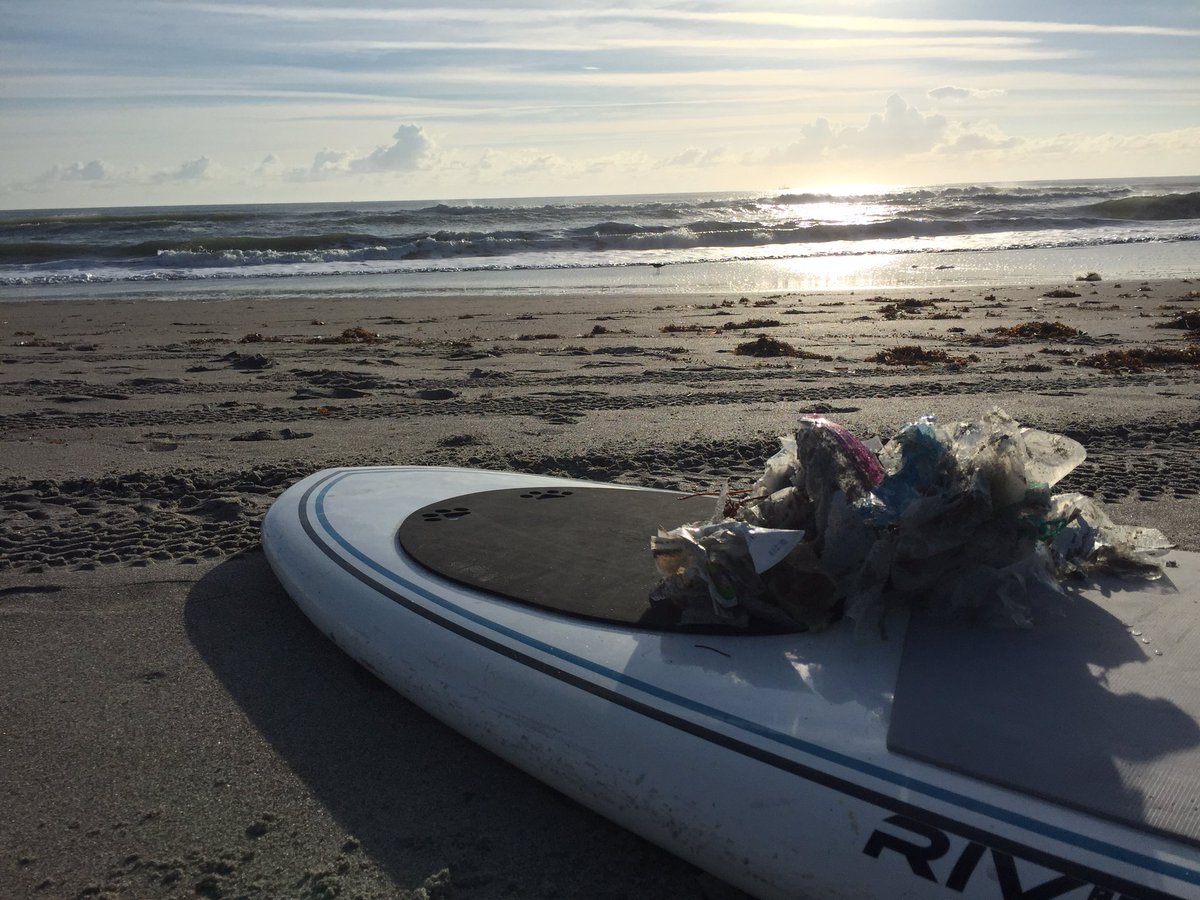 shellear8's tweet photo. @mikeroweworks want to come #paddle with me and pick up #ocean #trash. #itsadirtyjob! And never ending all over the #planet. #floatforlife https://t.co/vPOsam4Vlr
