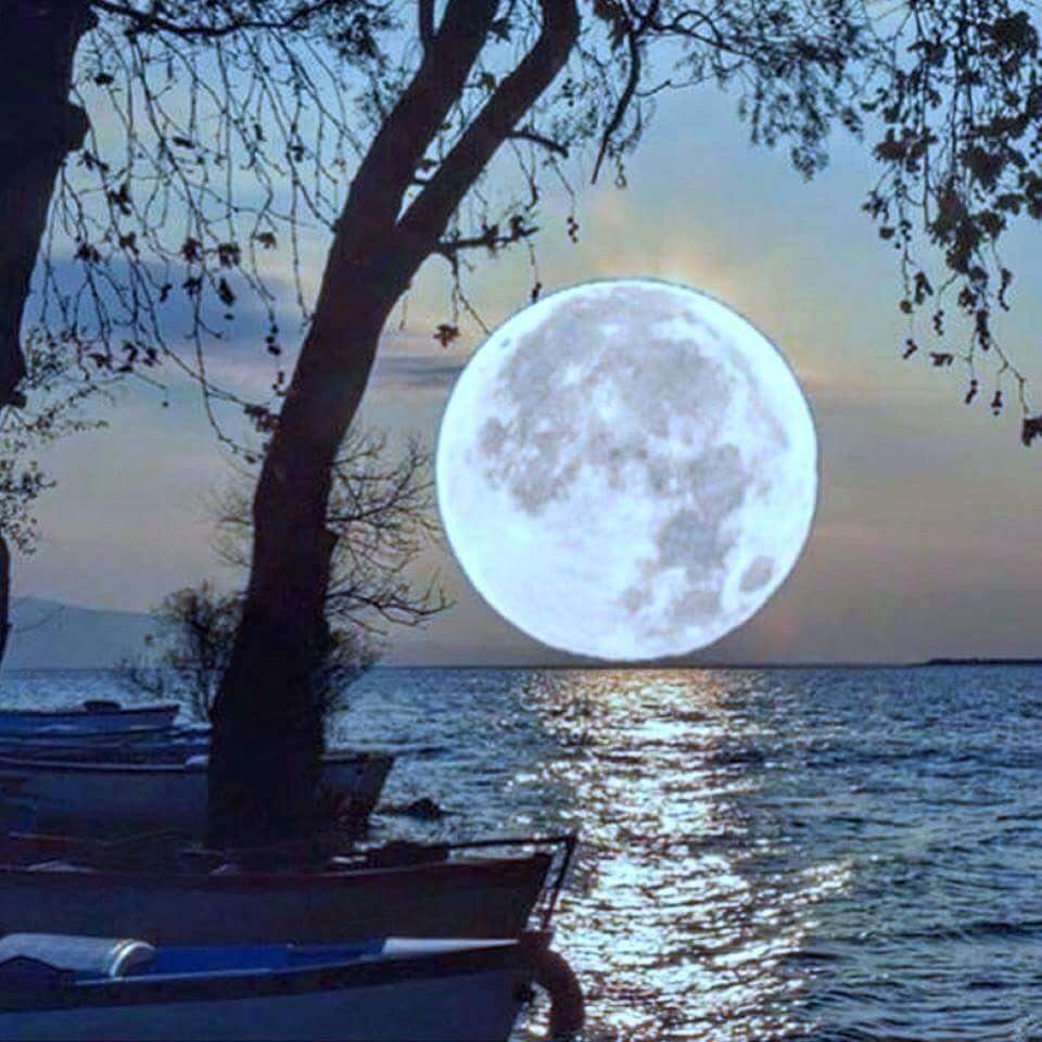 NuvolettaStella's tweet photo. Guarda che LUNA!
Ci aiuti a sognare💞
#coccolando
#scritturebrevi https://t.co/RtWBLPTzLp