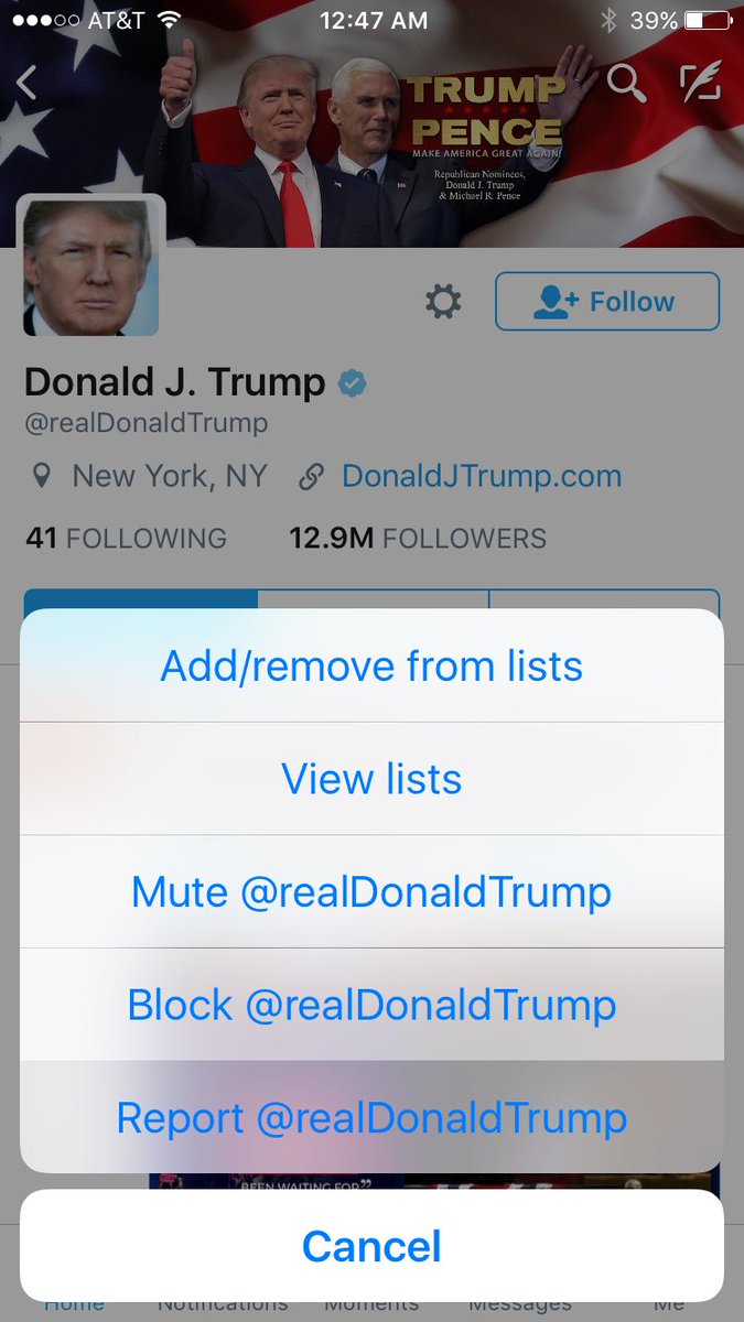 reshingbull's tweet photo. Melania Trump's speech on #cyberbullying was so inspiring that I did this. I reported @realDonaldTrump for bullying. #reportDonald https://t.co/7CFn95Dq0j
