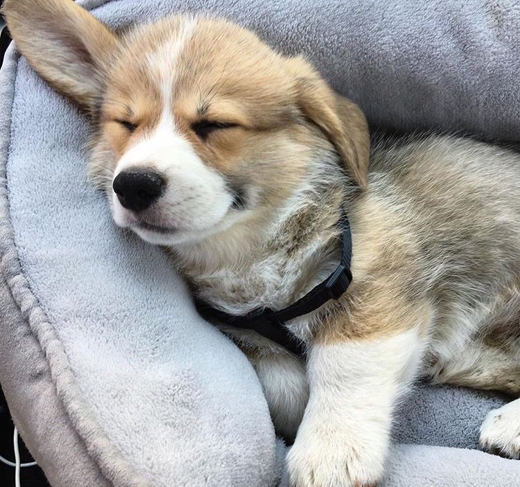 DeeTrid's tweet photo. Mood. https://t.co/ZGbhpeACP0