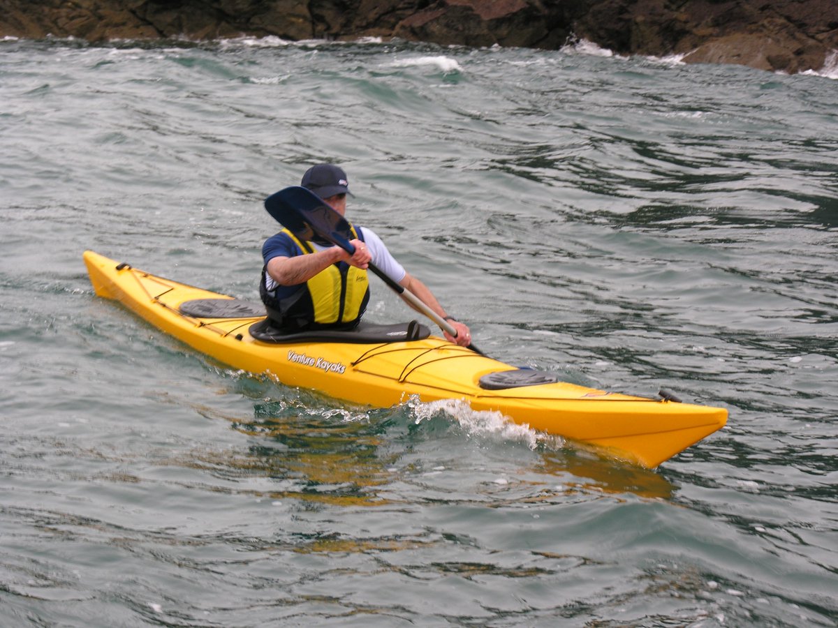 Chrissyots's tweet photo. Shoulder Flexion and Extension~ big deal for paddling a kayak!! #Functionalfrank https://t.co/6t1teawtWC