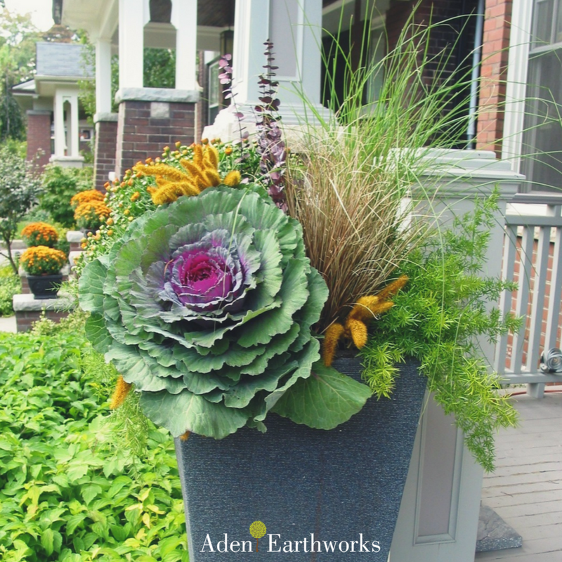Fall planters have a beauty on their own! #planters #fall #gardening #seasonalplanters