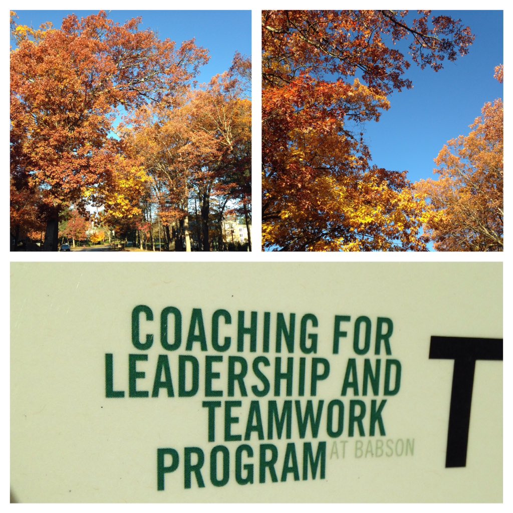 kate_d3's tweet photo. Beautiful day for #CLTP @babson @BabsonOAS https://t.co/BfkPnx2pke