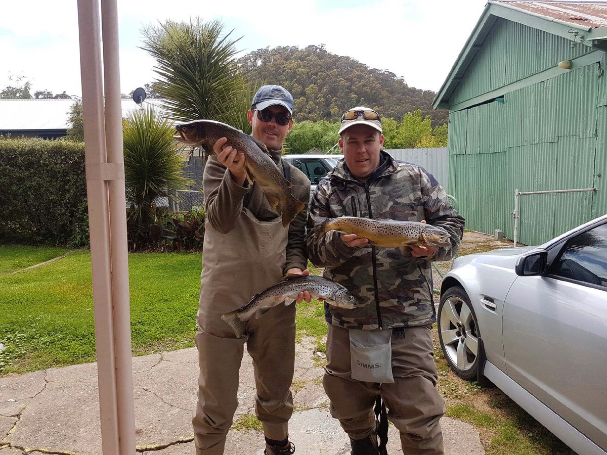 onewayseat's tweet photo. Fly fishing Banimboola Pondage, Dartmouth! #flyfishing #trout #travel #Australia #adventure #roadtrip #trip #holiday https://t.co/uVJzSAsbZq