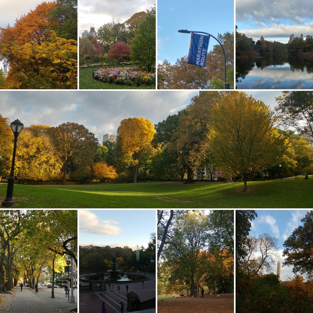 TrishPTrout's tweet photo. Ran through Central Park this morning, so pretty! #trishruns4you #BostonMarathon #bestspectatorever #runchat https://t.co/h5JSJNjBSX
