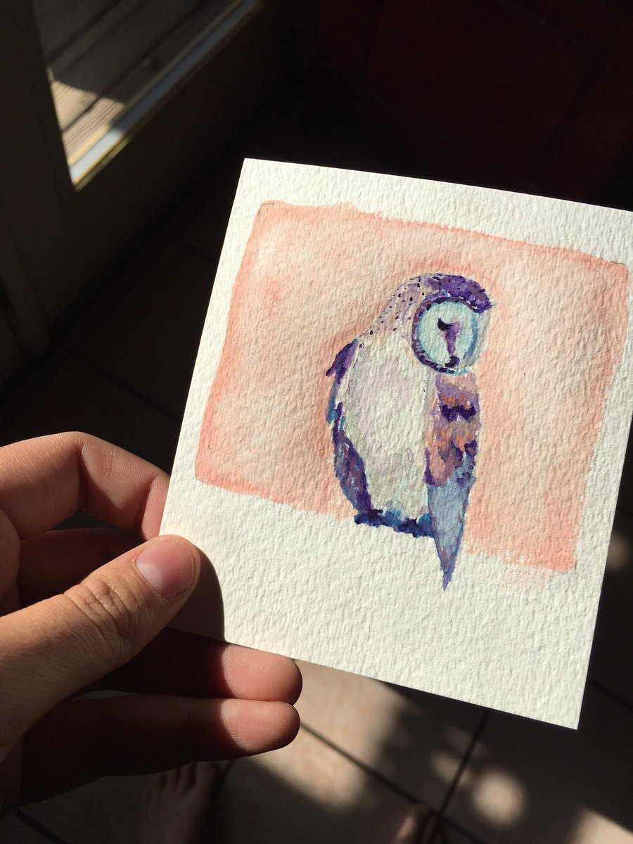 andallama's tweet photo. I gave this polaroid to @MGiffing with the words "Wise Old Owl" on the back and she got mad because I called her old 😂 #FFAadvisor https://t.co/VSElrqcq4l