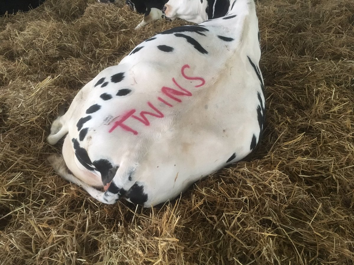 Away at @Longmoorfarm for the weekend, I've left clear instructions 🙄