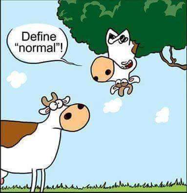 linaromillo's tweet photo. #Psicologia #queesnormal #FelizFinde #Felicidad #vacaslocas #psicologiaclinica #Veterinaria #humor https://t.co/6sdJsobV5L