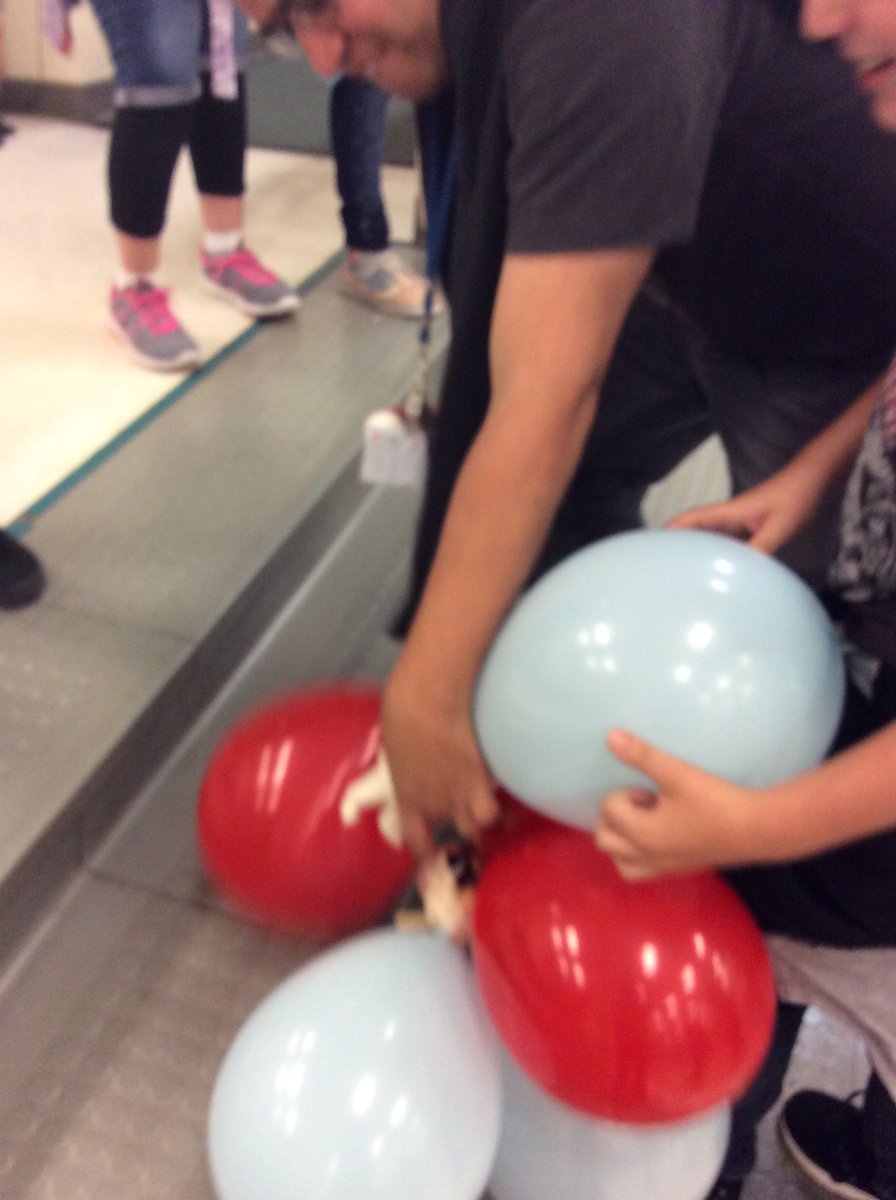 Laura P Cordova tweet media