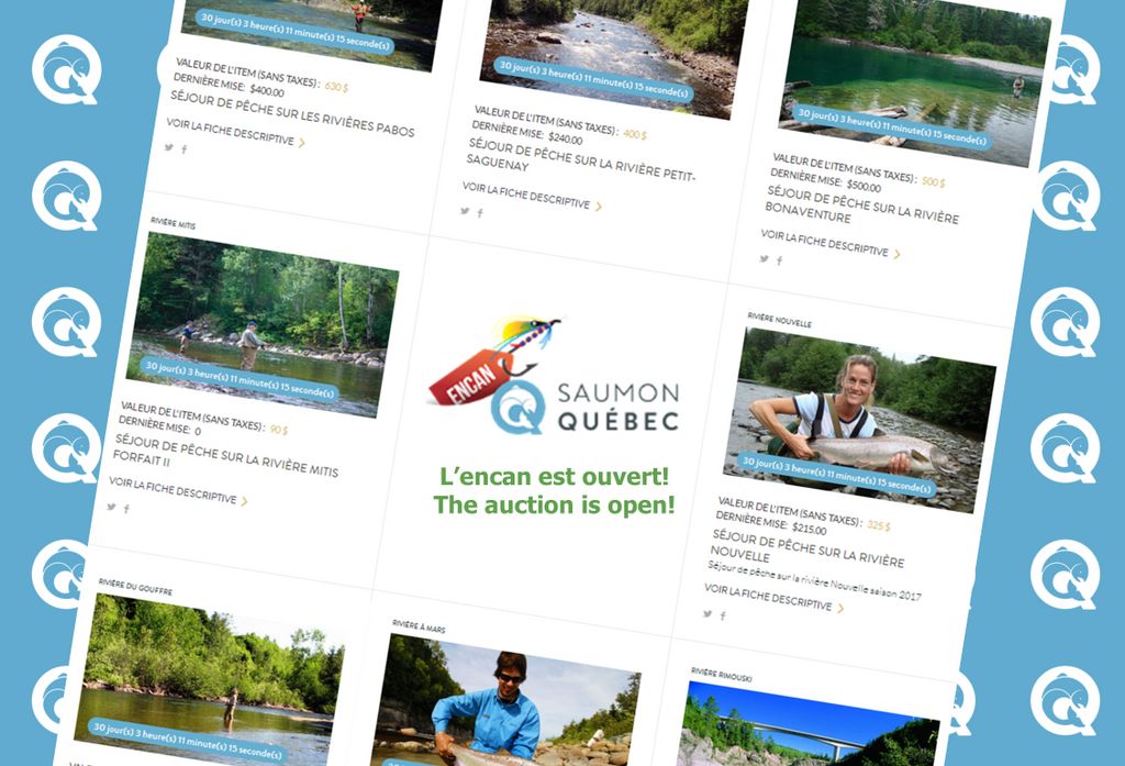 SaumonQC's tweet photo. L'encan est ouvert! https://t.co/OTzY9FzCfX

 The auction is open! https://t.co/bD9z2mcbqa https://t.co/OlDSDbxGOI