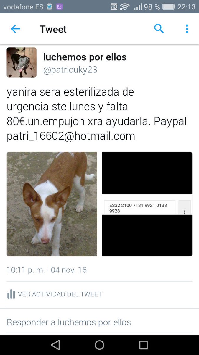 <a href="/AmordeAnimales/">Amor Animal</a>