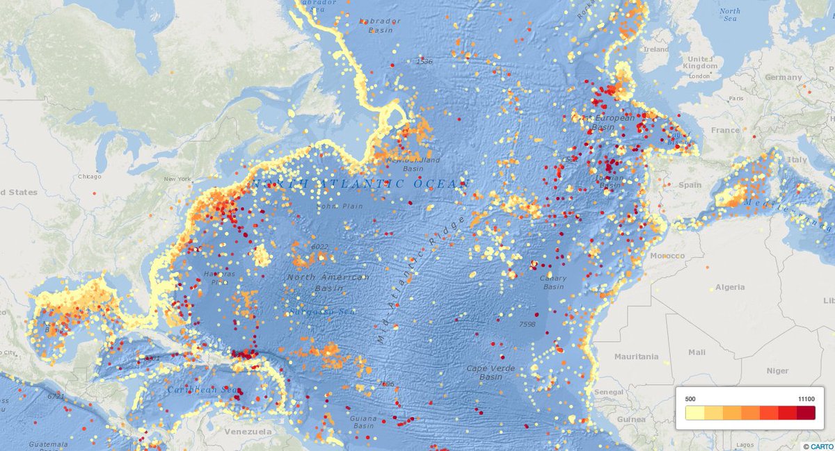 Hope we can improve #deepseadata coverage in the N-Atlantic with <a href="/eu_atlas/">Eu_ATLAS</a> <a href="/DeepSea_Sponges/">Deep-Sea SponGES</a> #ABYSSLINE <a href="/USGS/">USGS</a> <a href="/INDEEP_Project/">INDEEP</a>
<a href="/NOAACoral/">NOAA Coral Program</a> etal