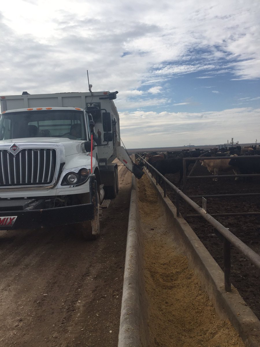 Dinner is served! #Cattle eat 3 times, everyday! @FrionaBeef <a href="/BJMSales/">BJM Sales & Service</a>  #cattletales #beef