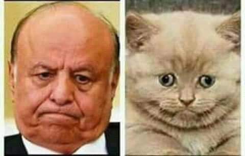 أيش الفرق 😂😂😂😂😂😂😂